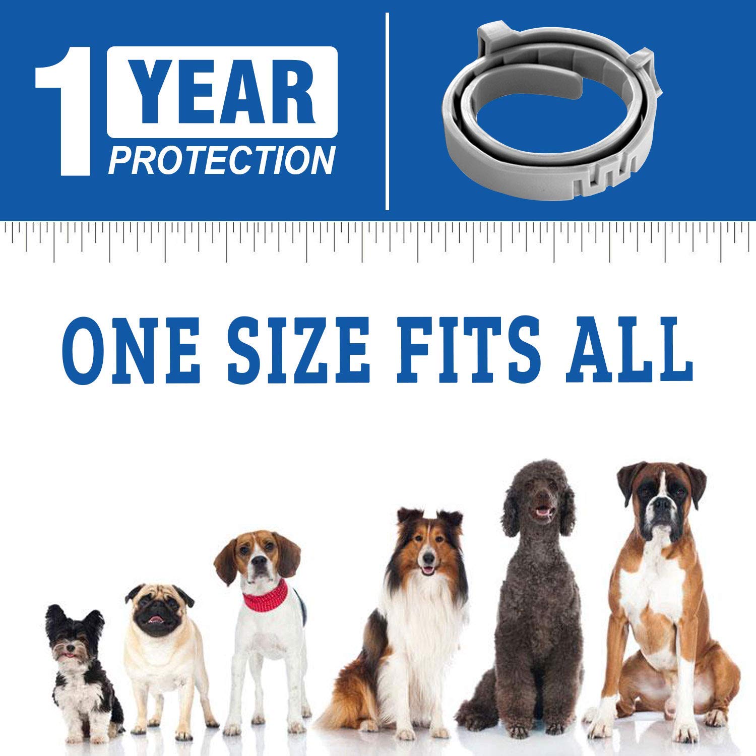 Ebb and Flo by GoofBoard Classic Log (Blonde) Surfing Balance Board