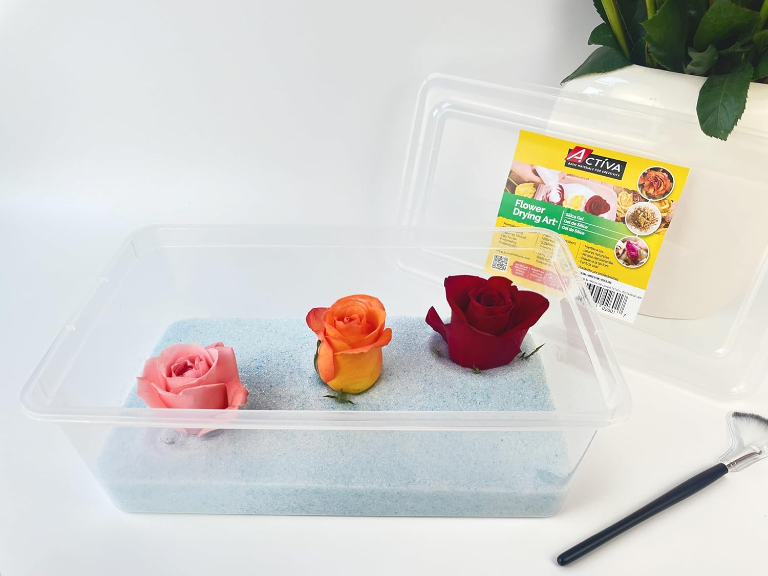 Activa Flower Drying Kit - A Complete Kit to Dry and Preserve Your Floral Memories