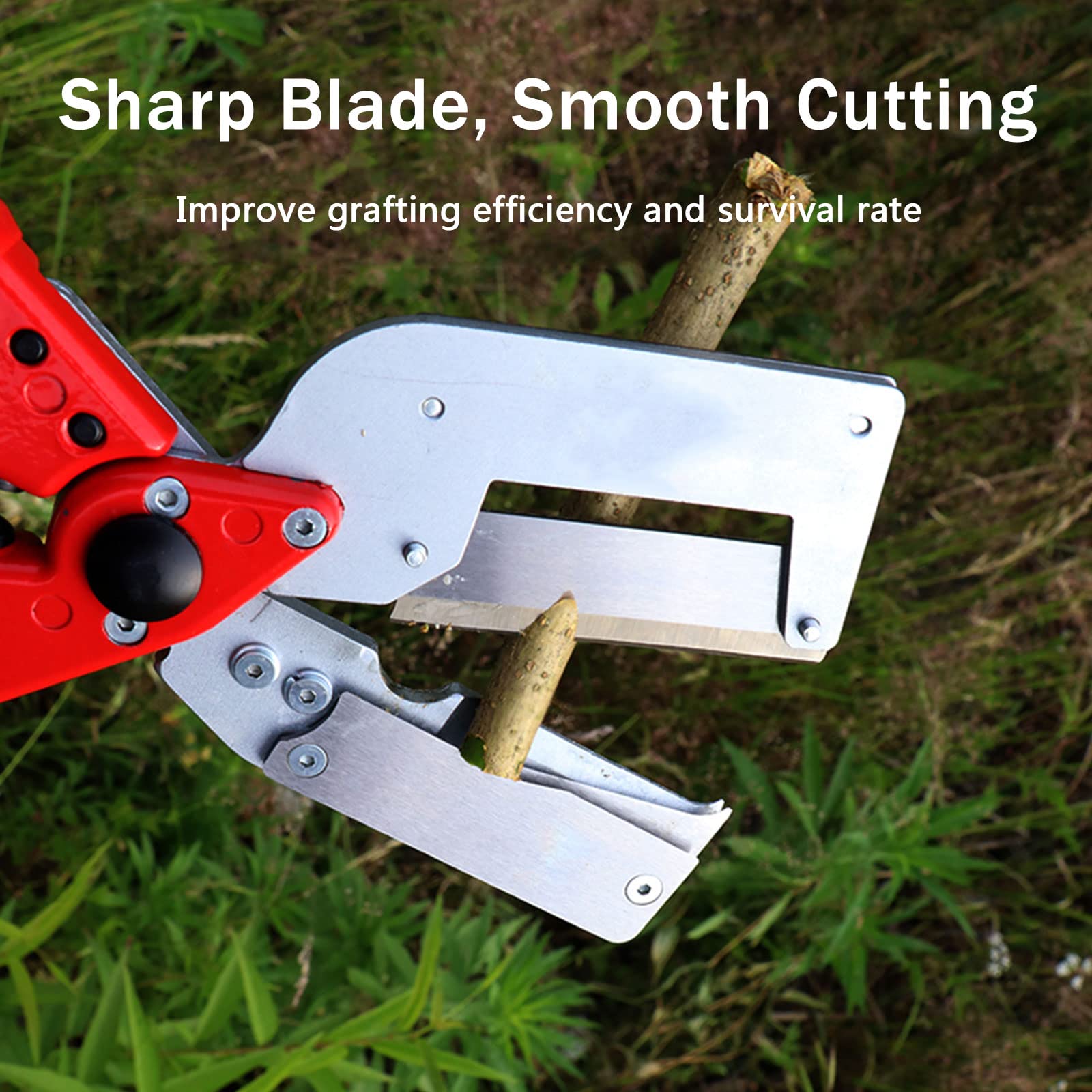 Forbici Innesto Professionale, Giardino Innesto Kit di Attrezzi per Efficiente Potatura e Innesto, con Nastri per Innesto e Lame di Ricambio, per Alberi da Frutto/Pianta/Ramo, Garden Grafting Tool