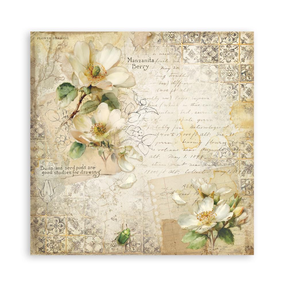 Stamperia - Scrapbook Paper Pad for Scrapbooking, Albums, Cards, Bullet Journals and More, Acid Free, Single Face, Perfect for Hobbies, Crafts, and Gifting (All Around) (30.5 x 30.5cm)
