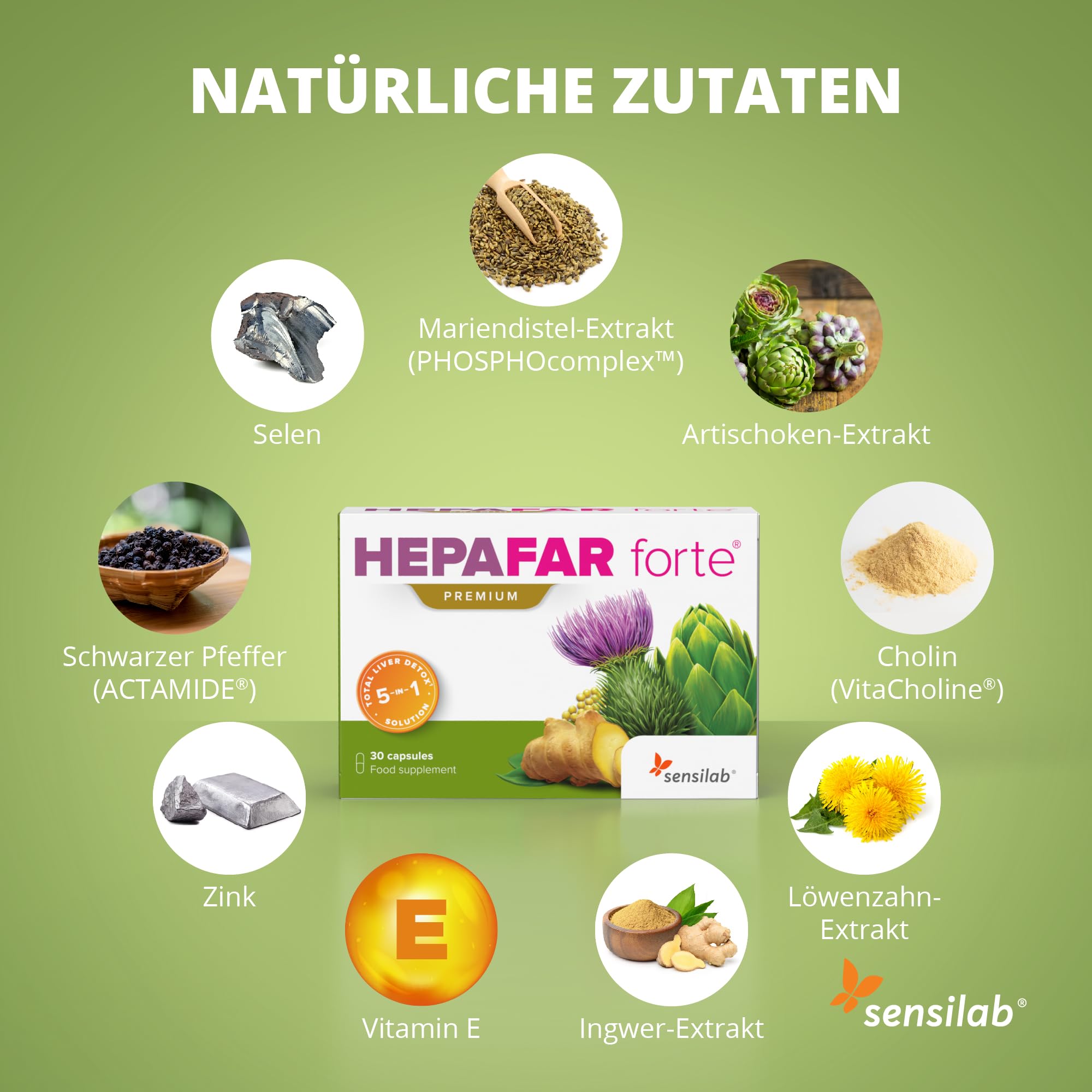 Mariendistel Artischocke Löwenzahn Komplex - Leber - Vitamin E, Phospholipide - Innovative Patentierte Formel mit Hoher Bioverfügbarkeit - 60 Kapseln Hochdosiert - Hepafar Forte Premium Sensilab