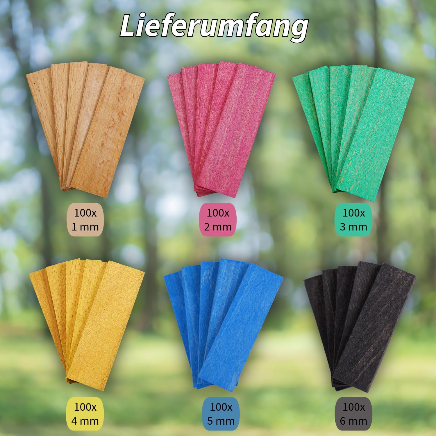 SILISTO Holz-Verglasungsklötze 80x24x1-6mm, 600 Stück im Sparset - Abstandhalter, Unterlegplatten, Distanzklötze, Trageklötze aus Buchenholz (Hartholz)