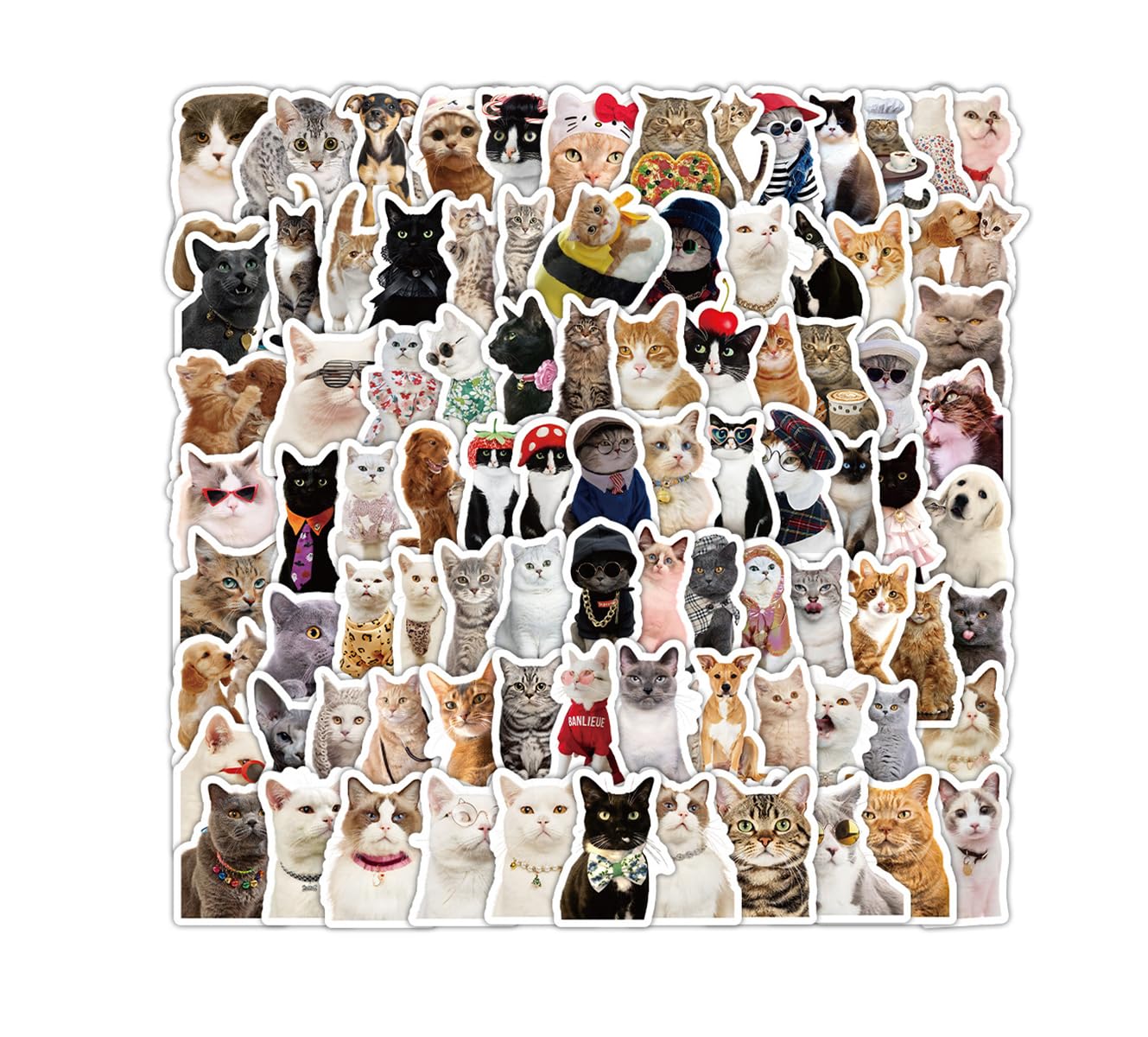 100 Pezzi Adesivi In Schiuma Eva 3D - Sticker Gatti Meme Divertenti Per Laptop, Telefono, Diario - Foto 3