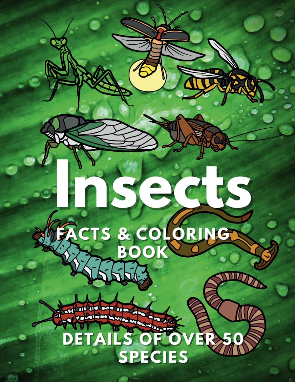 Insects: Facts & Coloring Book: Activity Book for Children Aged 2 to 16 Years (Animal Facts and Coloring)