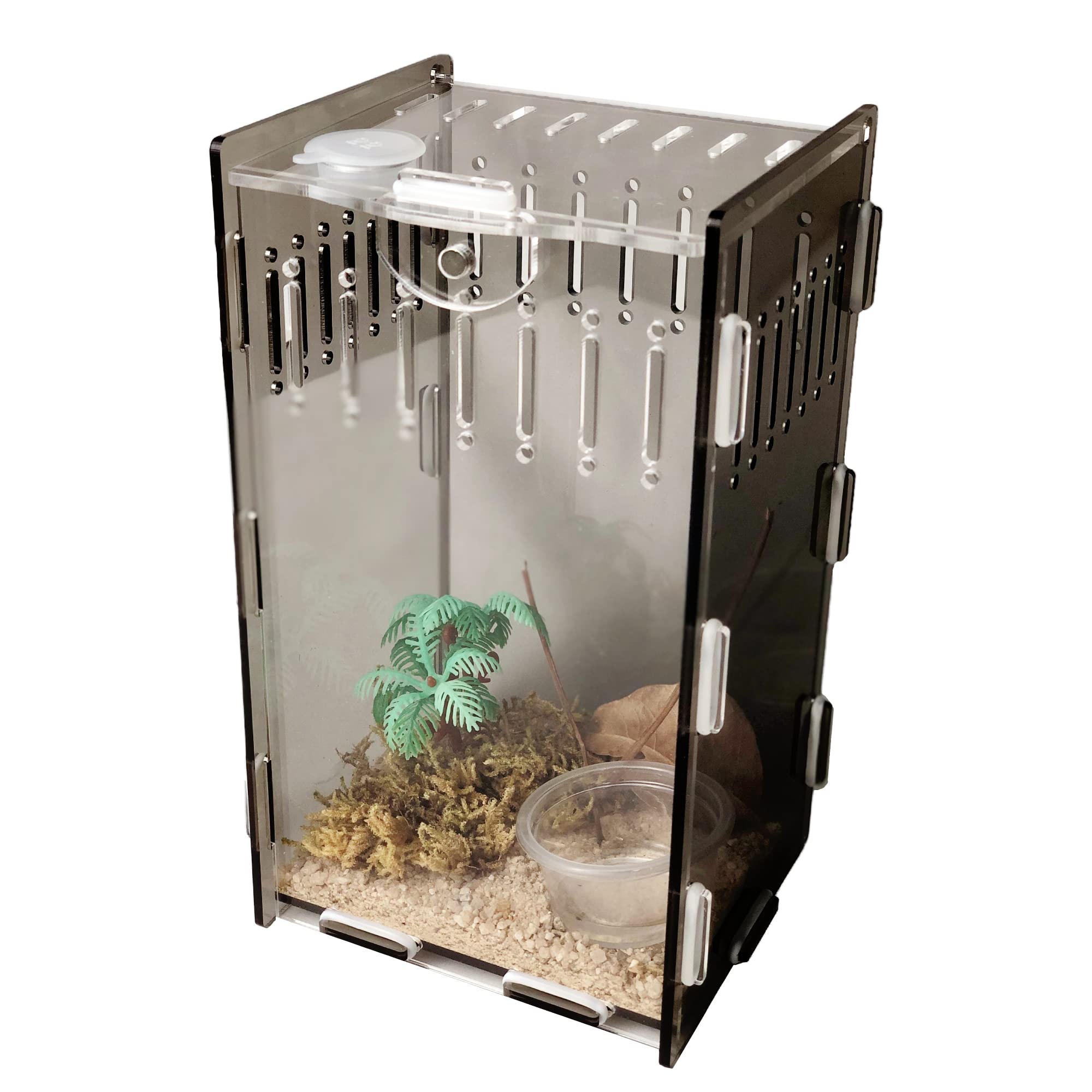 Buy 5x4x8 inch Acrylic Reptile Case, Vertical Clear Black