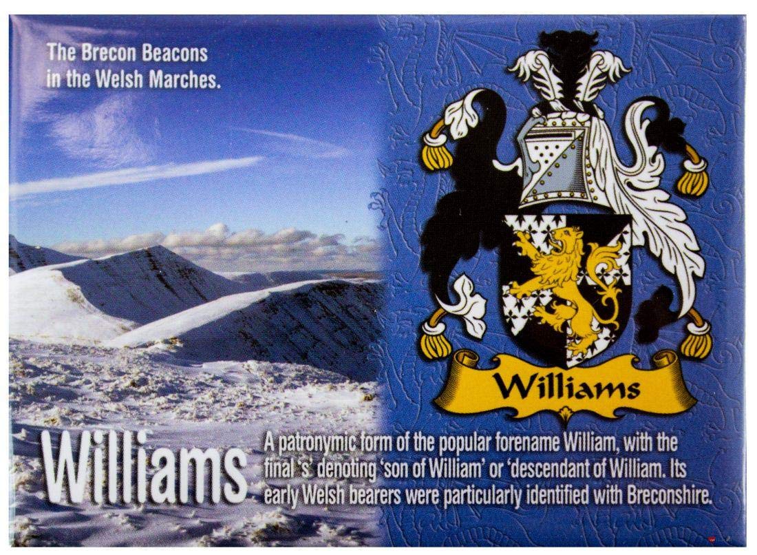 Williams Welsh Ancestry Family Name Souvenir Metallic Picture Fridge Magnet