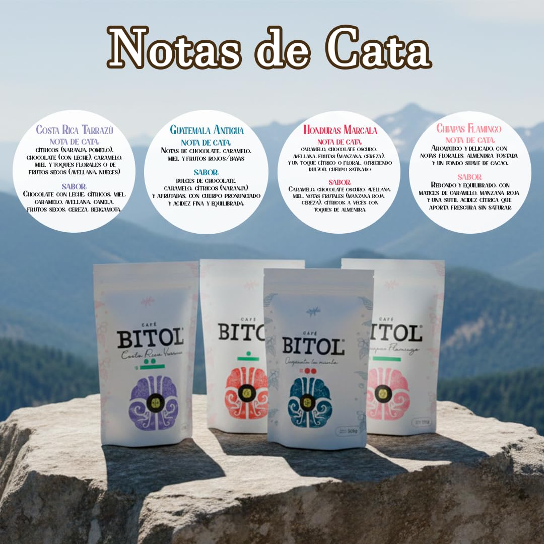 Cafés Bitol Pack 4 Cafe Mesoamérica 500 gr c/u | Costa Rica Tarrazú, Marcala Honduras, Flamingo Chiapas y Guatemala Antigua | Notas de Cítricos, Frutas, Caramelo y Cacao