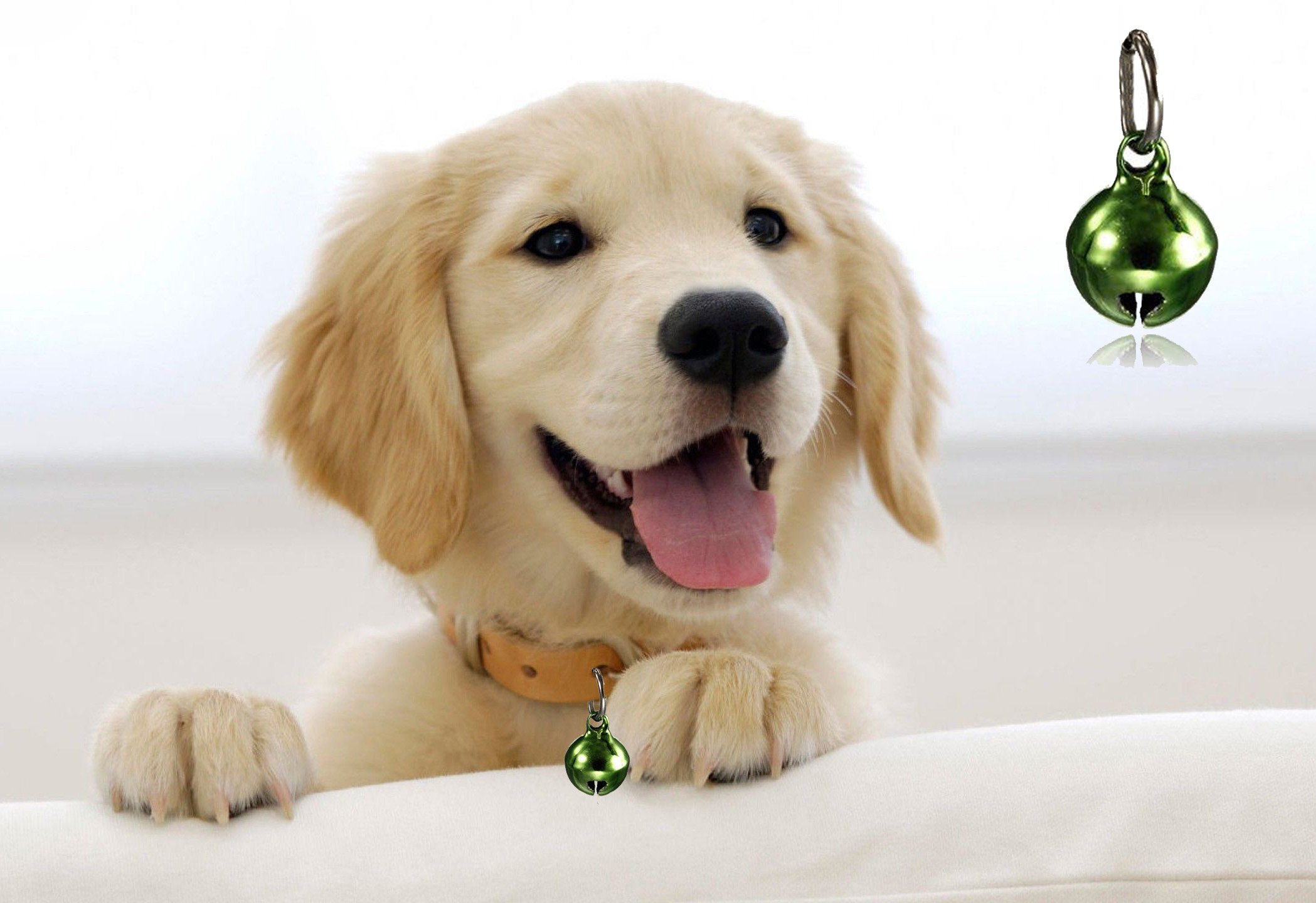 Sage Square Bell Collar Tag Cum Pendant for Dog/Puppy/Kitten/Cat (Green) (B079T46YVL) Amazon Price History, Amazon Price Tracker