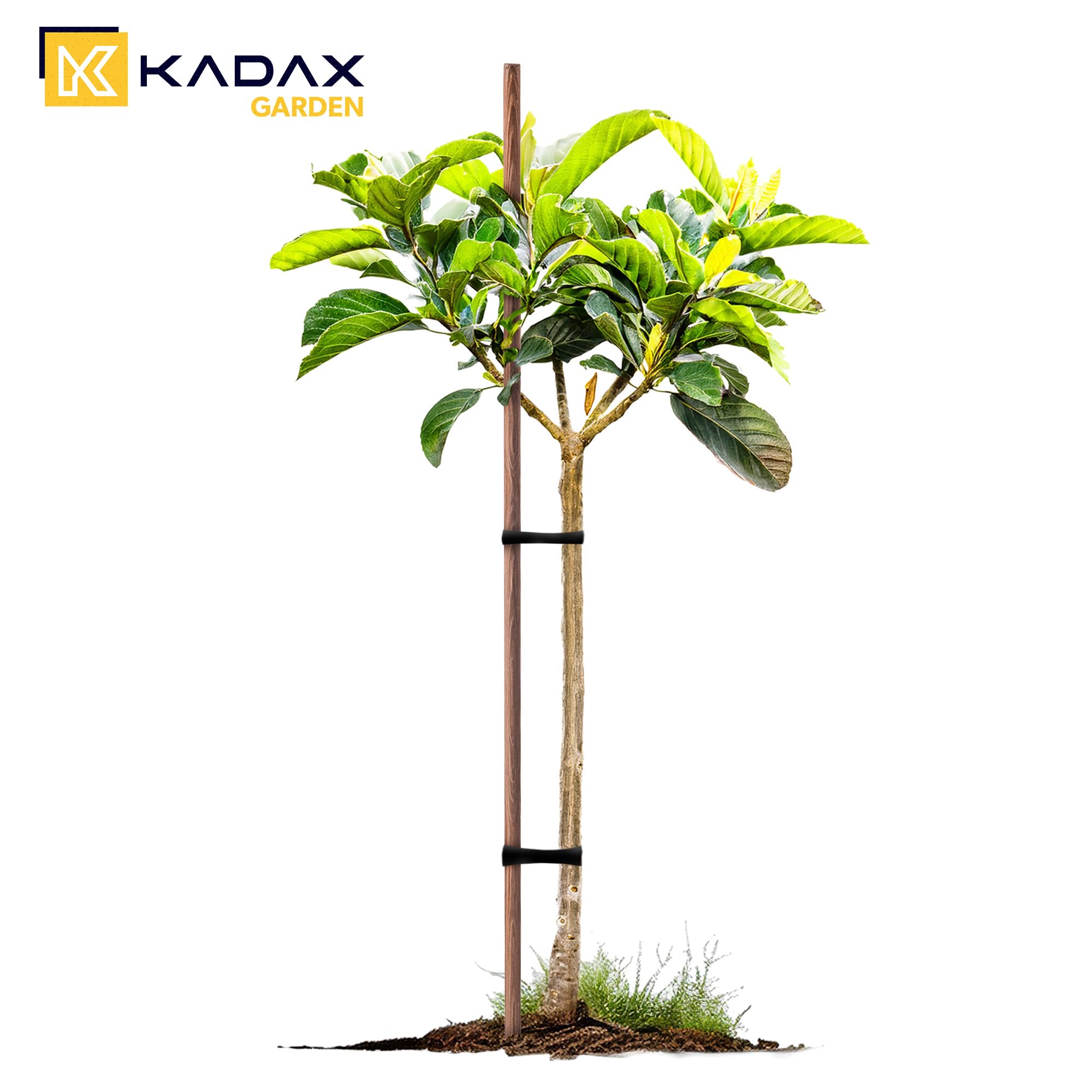 KADAX Varillas de madera de 150 cm x 23 mm, juego de 20 varillas de madera impregnada, estacas de madera como ayuda para plantas, árboles, tomates y arbustos, varillas de tomate
