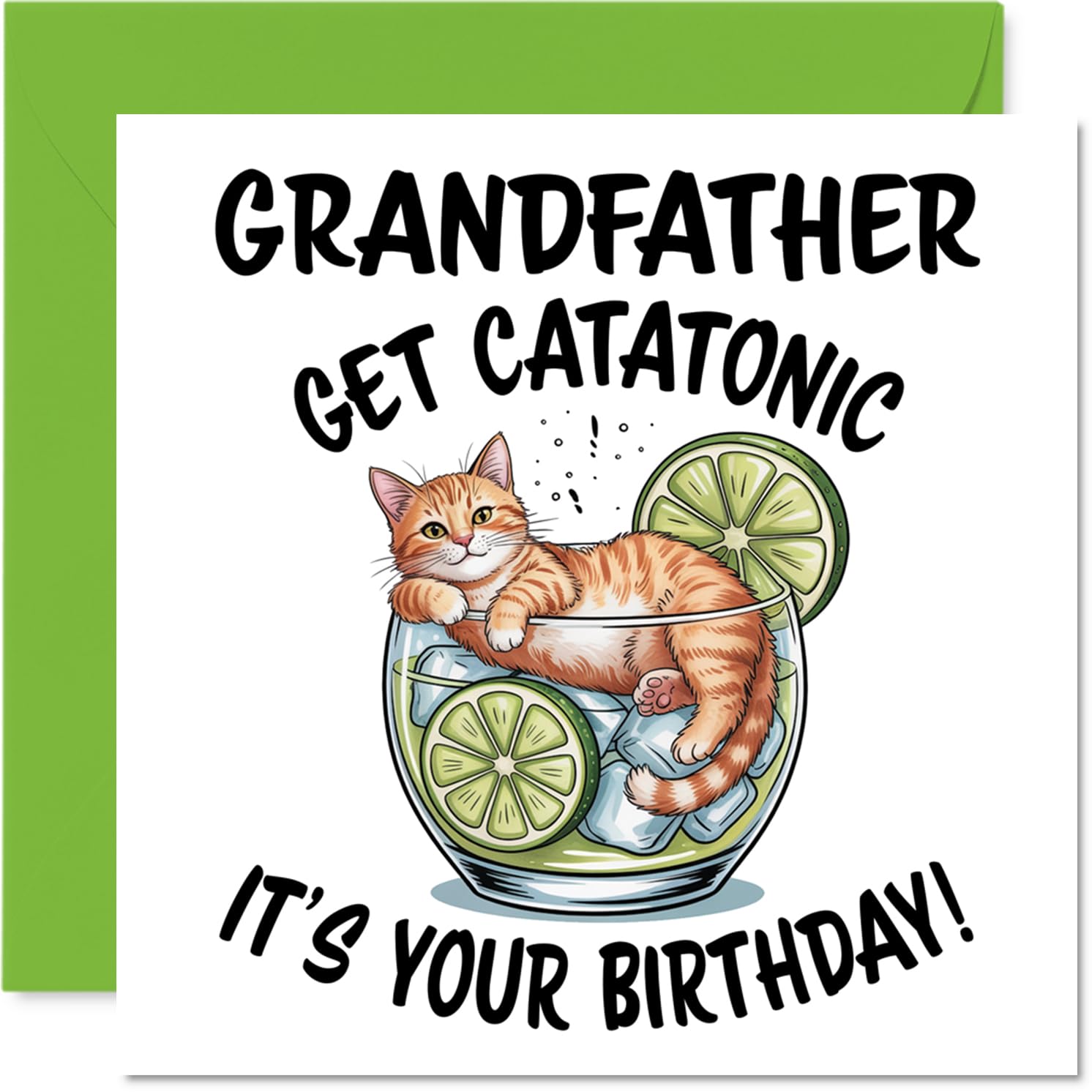 Grandfather Birthday Card - Catatonic - Happy Birthday Card for Grandfather from Grandson Granddaughter, 145mm Cute Animal Design Bday Greeting Cards