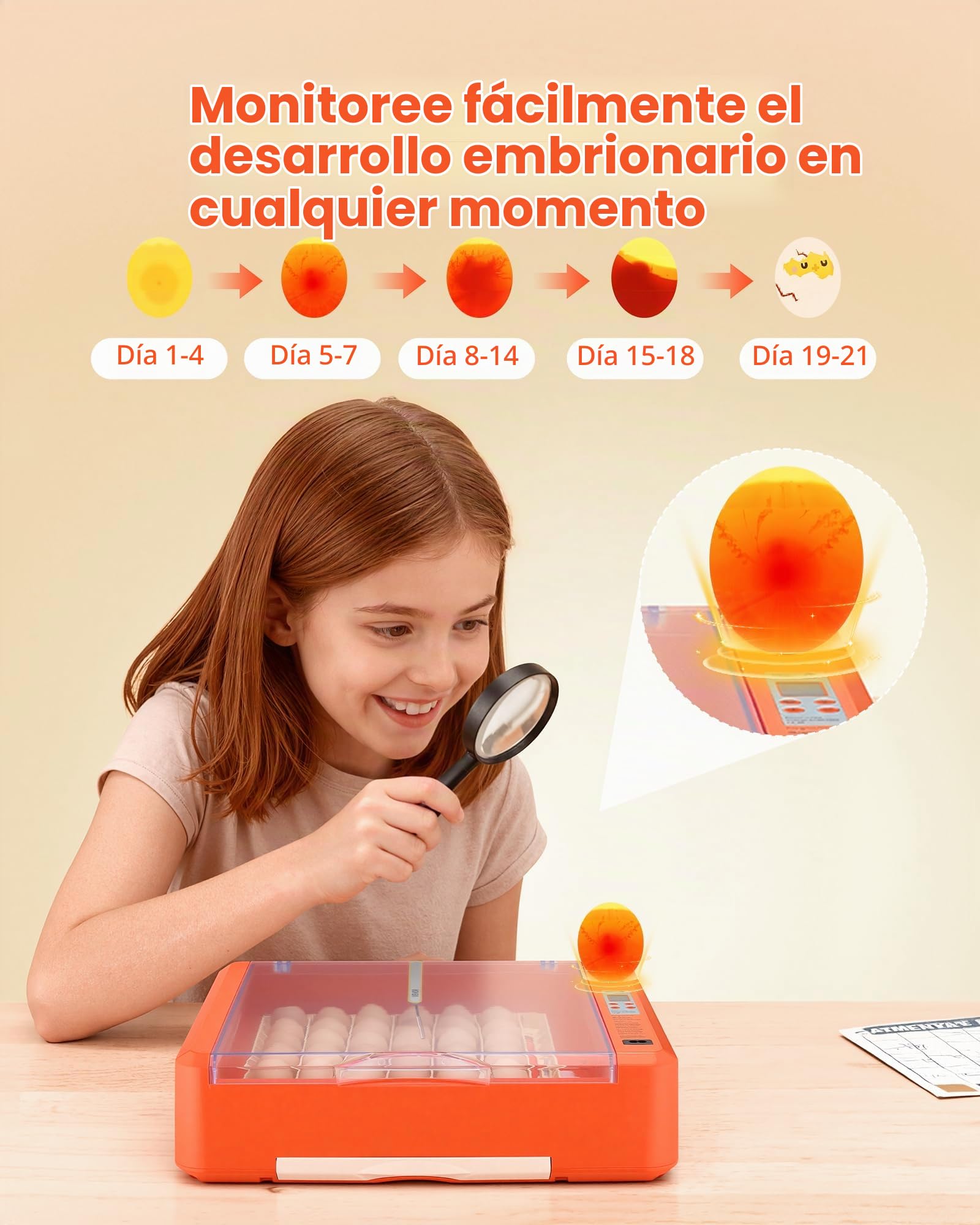 VEVOR Incubadora Huevos, Volteadora Automática con Indicador LED, Pantalla de Temperatura y Control de Humedad, Ventana Transparente con Vista 360°, para Pollitos, Patos (36 Huevos)