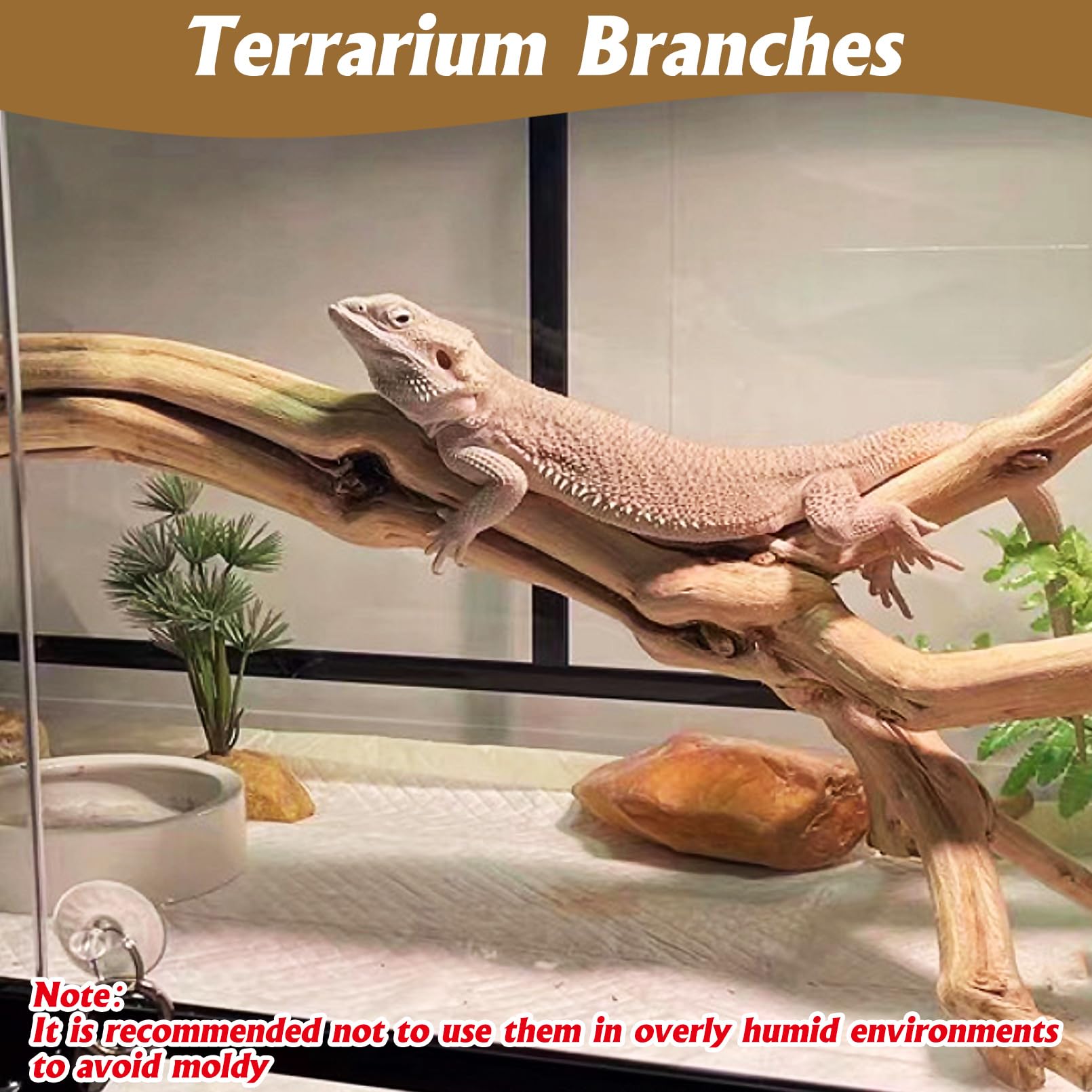 VCEPJH Rama de escalada de serpiente, 3 piezas, madera de reptil, corcho natural, decoración de terrario, accesorios de tanque de dragón barbudo, tronco de árbol para camaleón, gecko, pitón, rana y