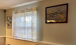 Review Image by Benjamin & Jennifer Chapman Benjamin & Jennifer Chapman