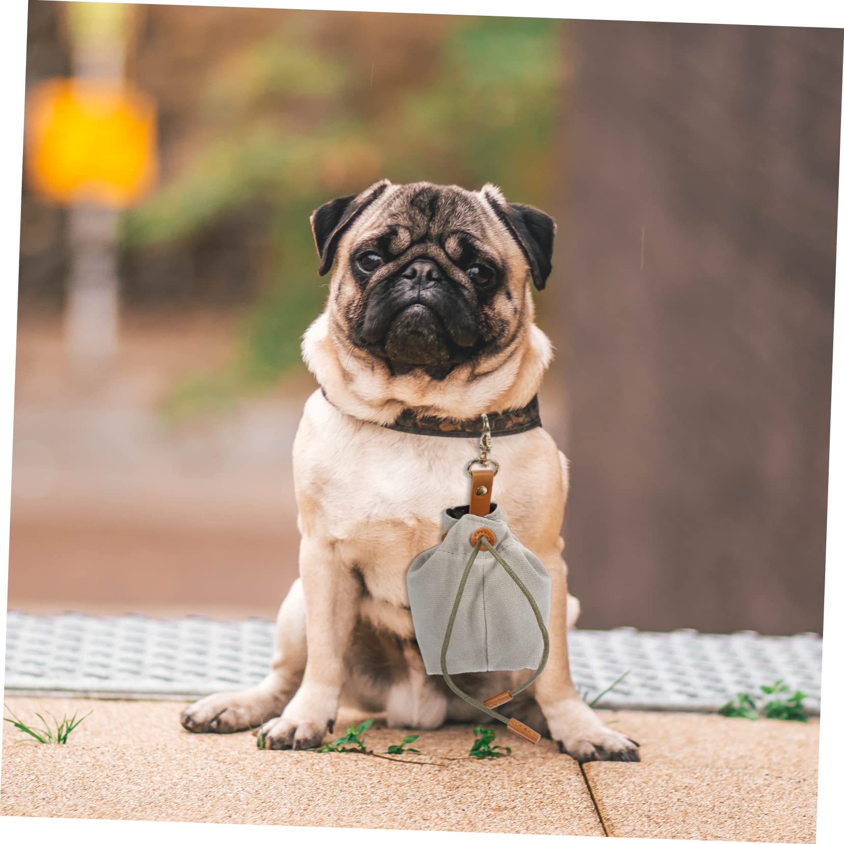Beavorty 5stücke Portable Hundeleckerlitasche Mit Kordelzug Praktischer Snackbeutel Für Hundetraining Und Tragbare Futtertasche Mit Schnalle Für Outdoor-aktivitäten Für Leckerlis Und