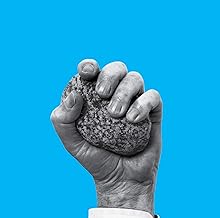 Anders Monrad , Superflex , Nikolaj Heltoft - The Mærsk Opera