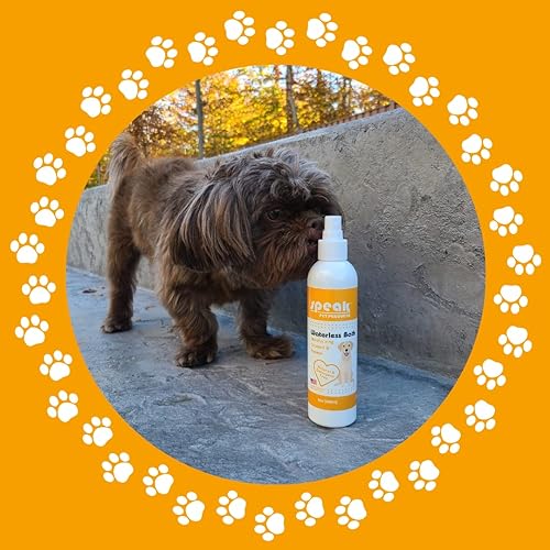 Miniatura 7 de Spray de baño natural sin agua, papaya de coco hidratante, para perros, 8 onzas