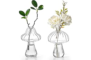 Fixwal Clear Mushroom Shaped Flower Vase