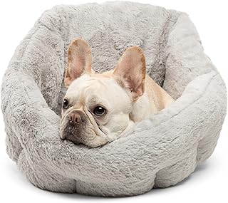 frenchie bed