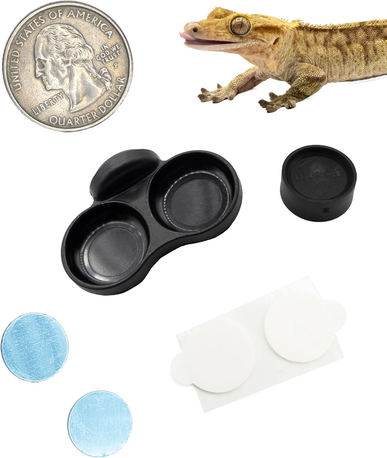 Pangea Microdish Kit for Micro Gecko Food, Mini Water Bowl for Tiny Reptiles and Other Small Pets, Magnetic Attachment Dots Included 1.25in (XS Dual Surface Mount)