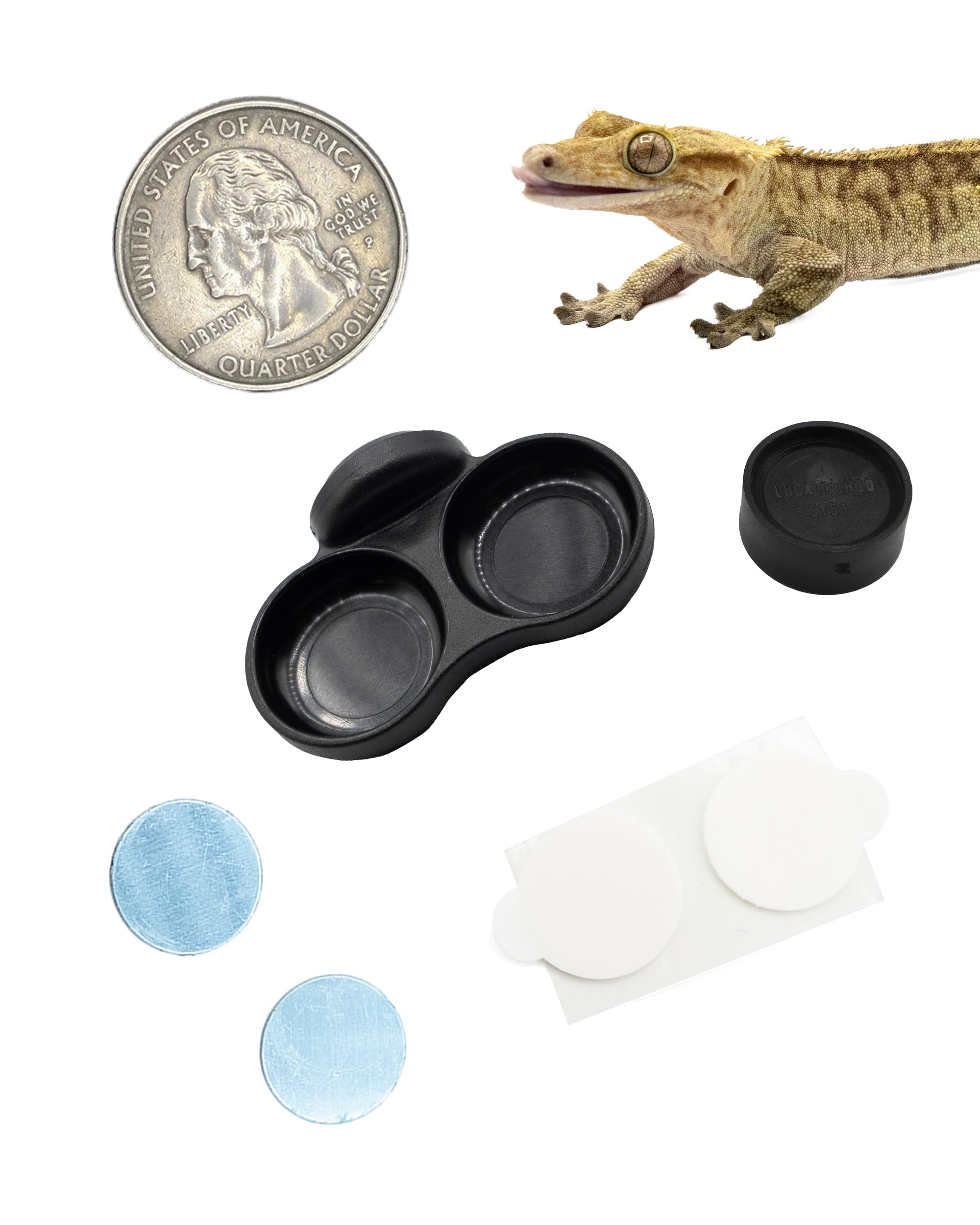 Pangea Microdish Kit for Micro Gecko Food, Mini Water Bowl for Tiny Reptiles and Other Small Pets, Magnetic Attachment Dots Included 1.25in (XS Dual