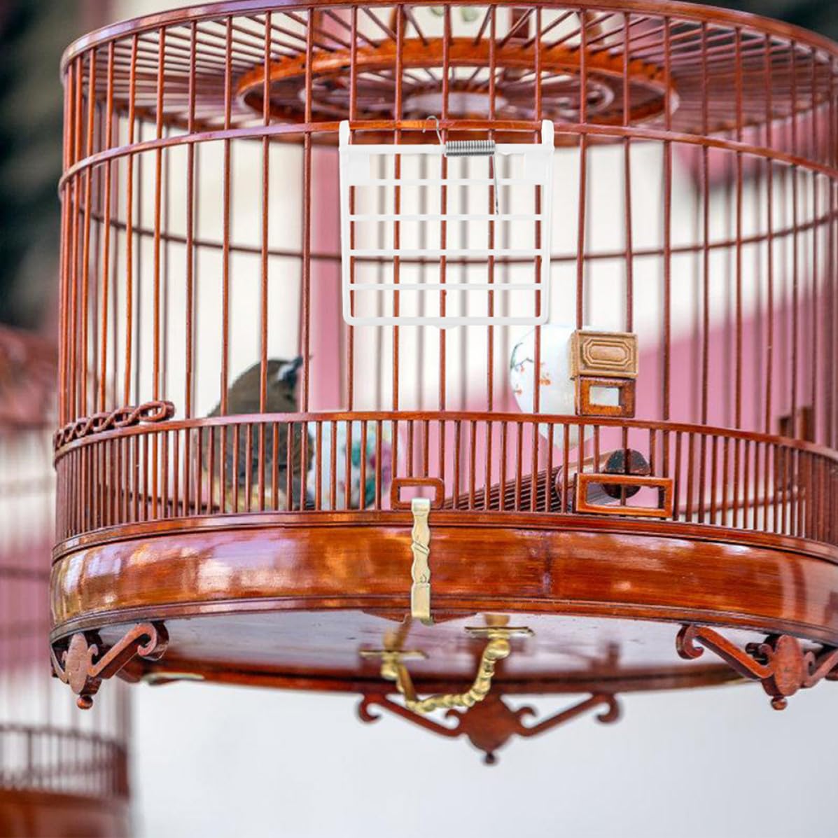 Austauschbare Federtüren mit Fliegentürfunktion aus Kunststoff 4 Stück Zuverlässige Ersatz Vogelkäfigtür für Vogelkäfige Zubehör für Wellensittichkäfige