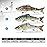 TRUSCEND Fishing Lures - Bass & Trout Swimbaits, Segmented Multi Jointed Swim Baits, Slow Sinking Swimming Lures for Freshwater & Saltwater Fishing Gear Kit