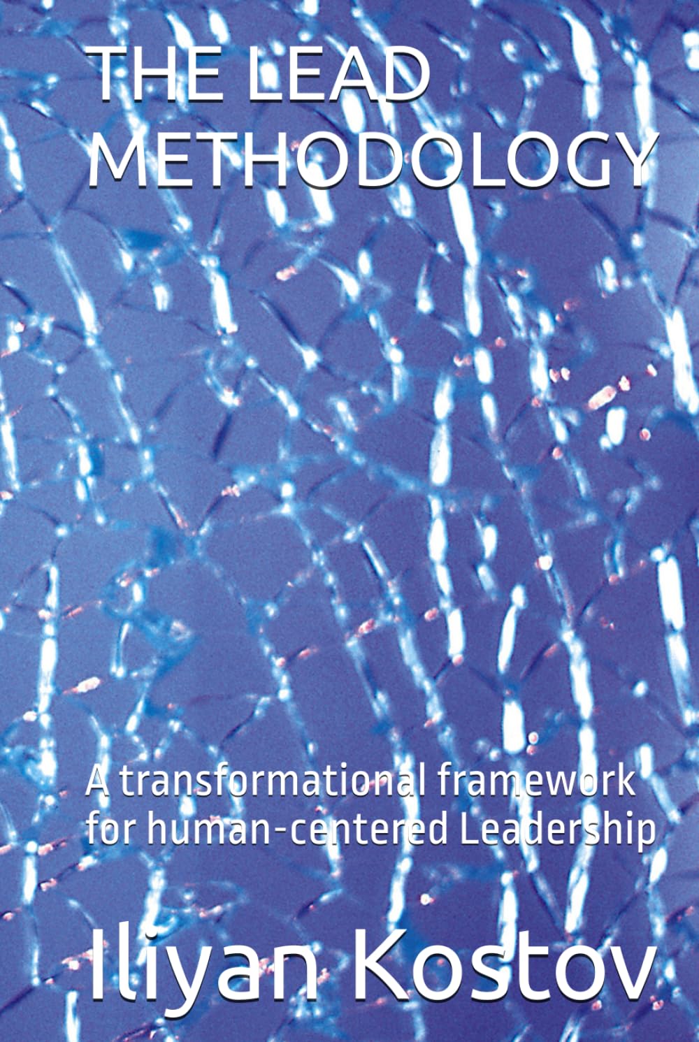 THE LEAD METHODOLOGY: A transformational framework for human-centered Leadership
