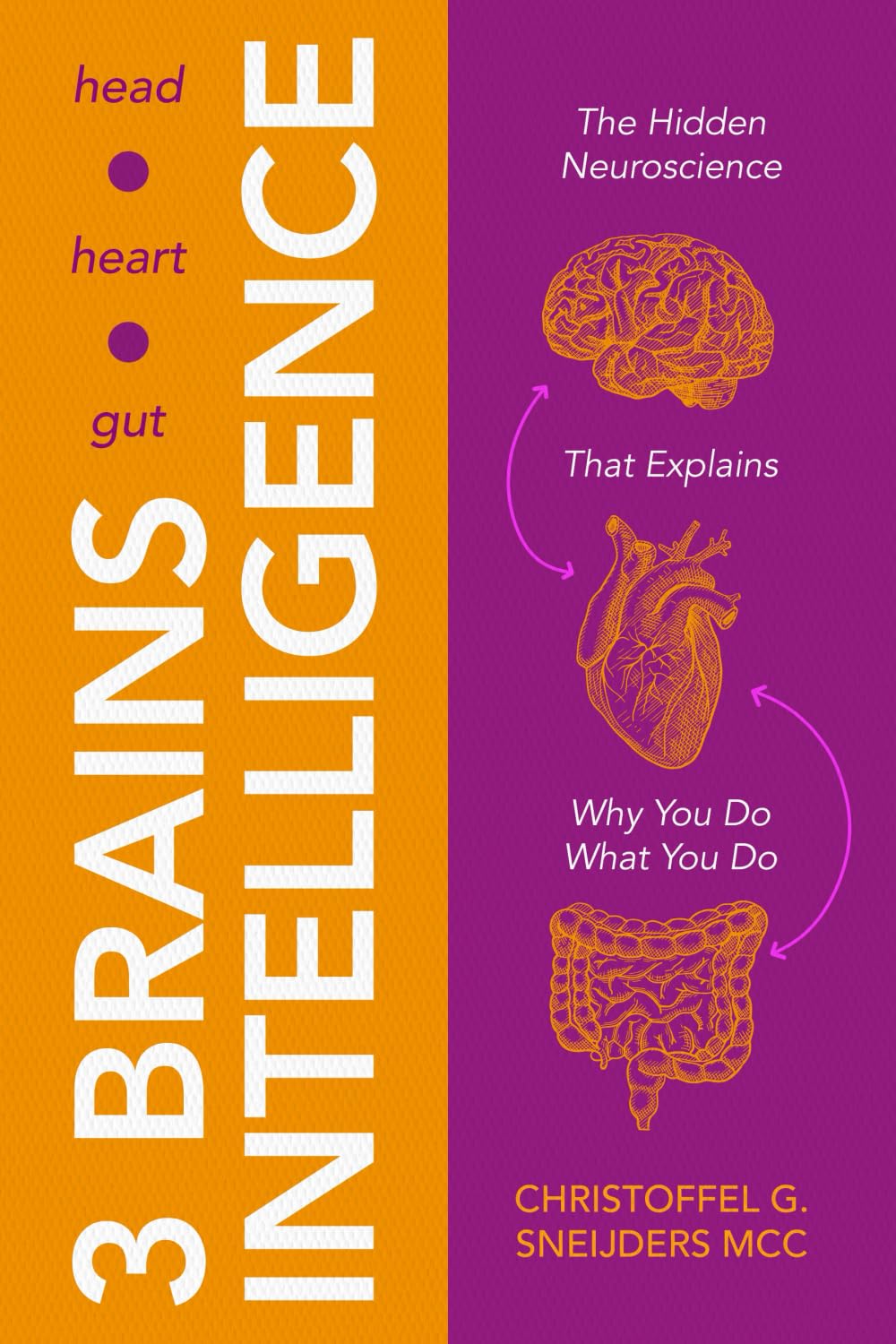 3 Brains Intelligence: The Hidden Neuroscience That Explains Why You Do What You Do (The 3 Brains Intelligence Series: Change That Sticks)