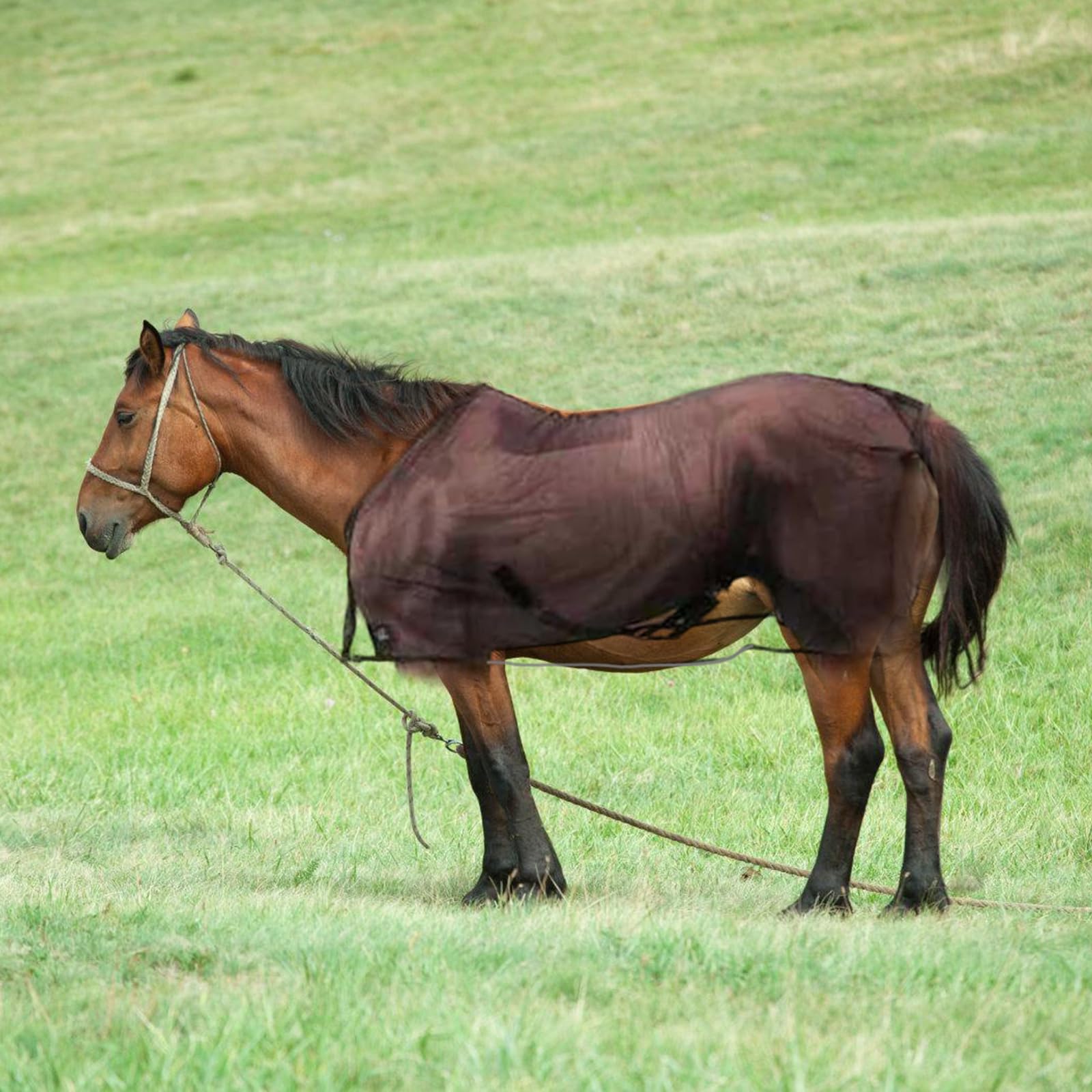 Fundas protectoras para el vientre de caballo, cubierta protectora para caballo, cubierta protectora para el abdomen de caballo, cubierta protectora para el abdomen de caballo