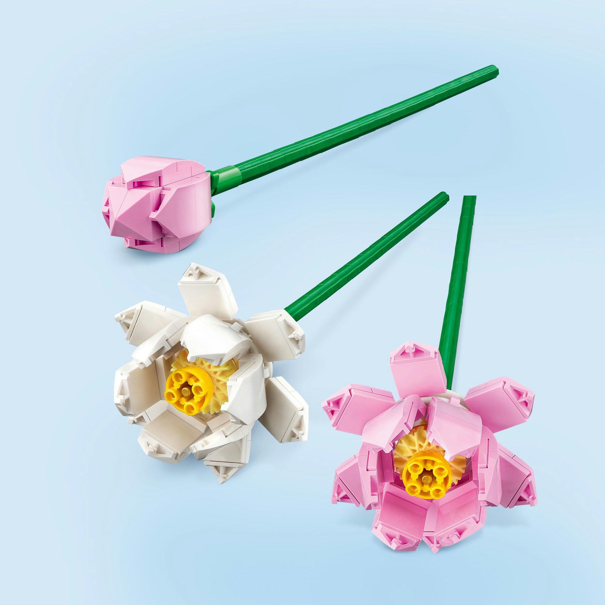 Amazon.co.jp: レゴ(LEGO) ボタニカル レゴ(R) ハスの花