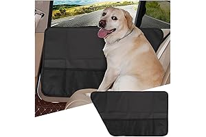 Durable Car Window Protector From Dog - Pair Pack
