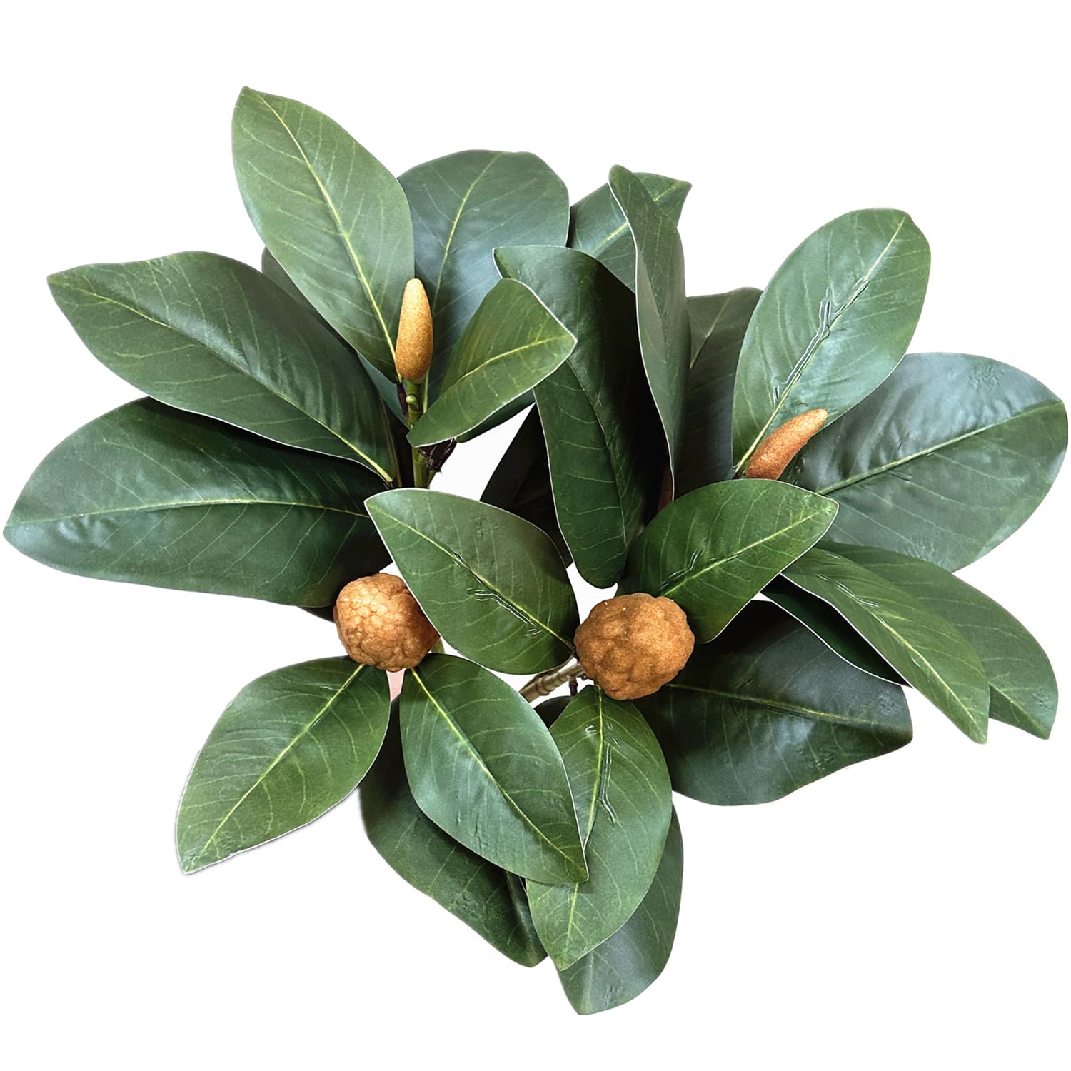 CATTREE Artificial Magnolia Leaves Plant