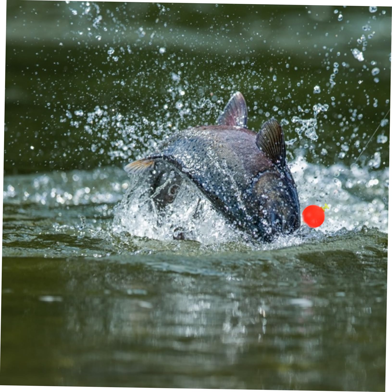 Toddmomy Angelposen Langlebige Und Auffällige Schwimmkörper Für Outdoor Fischen Hohe Sensitivität Sichtbarkeit Und Verbesserte Fangquote