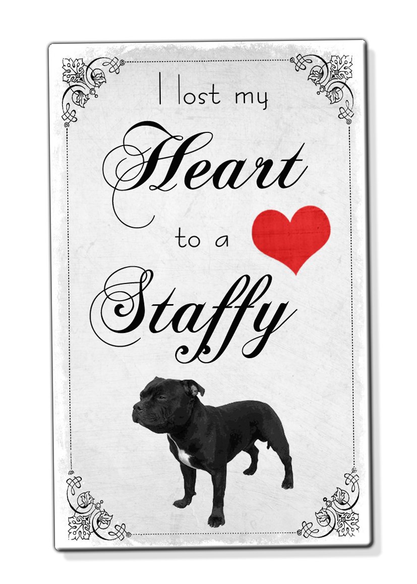 Beenanas Lost My Heart To A Staffy Staffordshire Bull Terrier Fridge Magnet