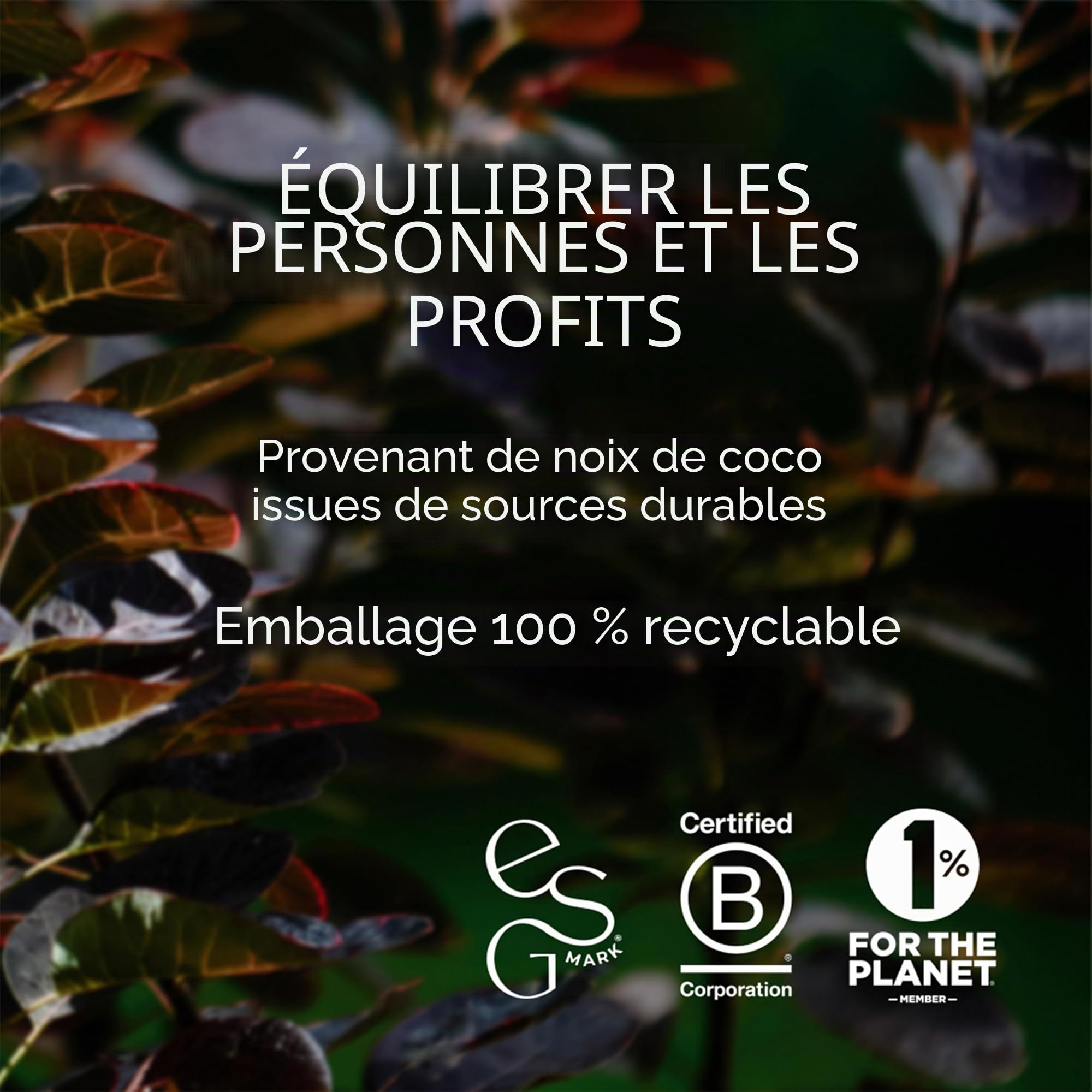 Ancient + Brave - True Hydration - Pot de 180 g - Poudre d'Electrolyte pour Hydratation - Mélange de Magnésium Potassium, de Chrome et d'Eau de Noix de Coco pour la Récupération Après l'Entraînement