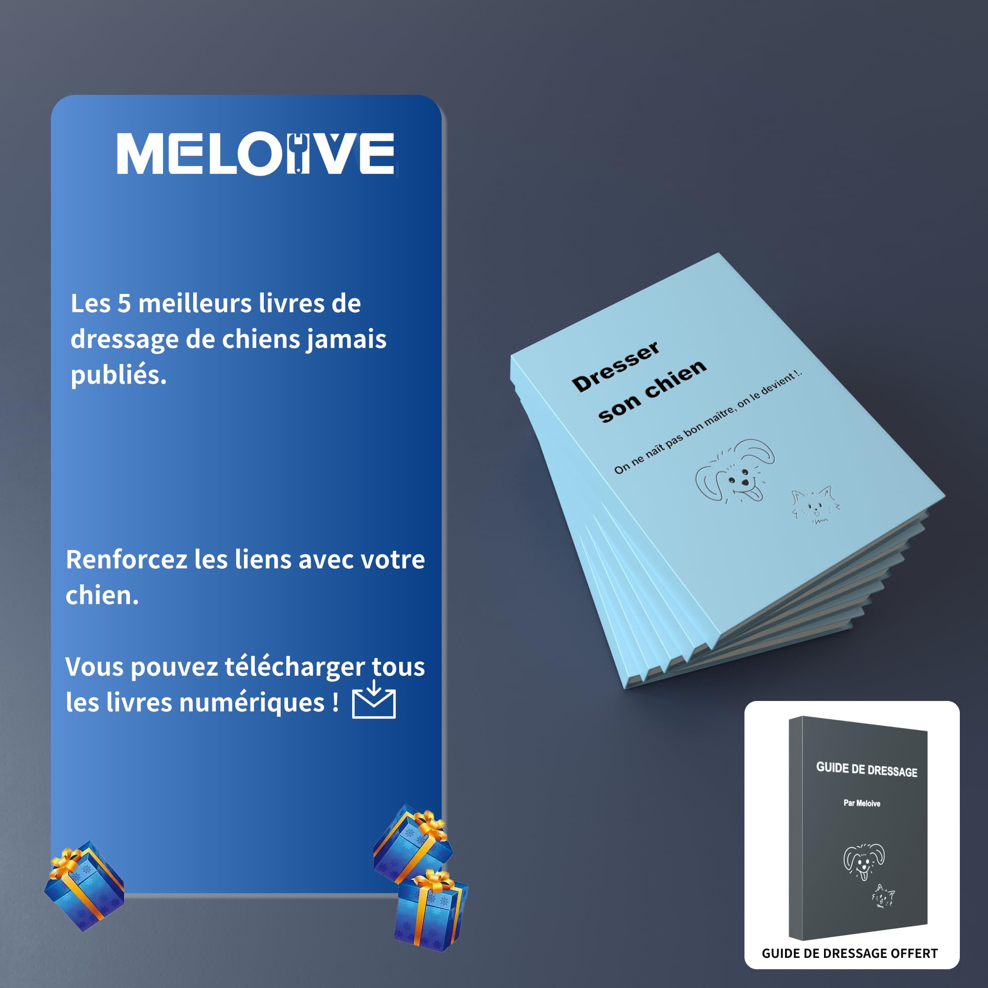 Meloive Collier de Dressage pour Chien, Portée 3500 Mètres, 3 Modes Vibration/Choc/Son, Rechargeable