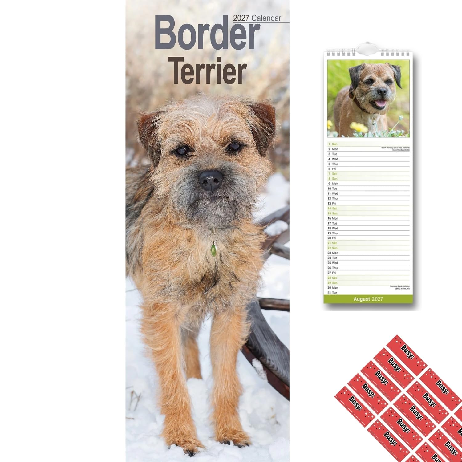 Avonside Border Terrier 2027 Slimline Calendar with Organisational Stickers