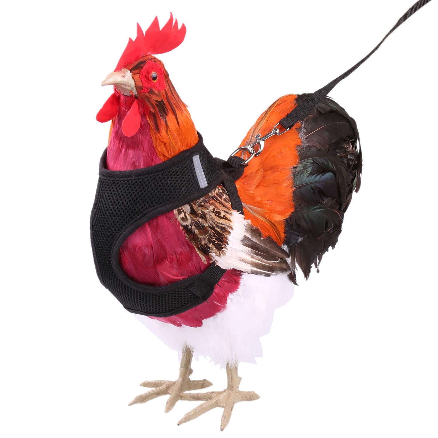 Verstellbares Hühner-Geschirr Mit Leine, 2 Stück | Für Hühner, Enten, Gänse, Größe S & M, Blau & Rosa