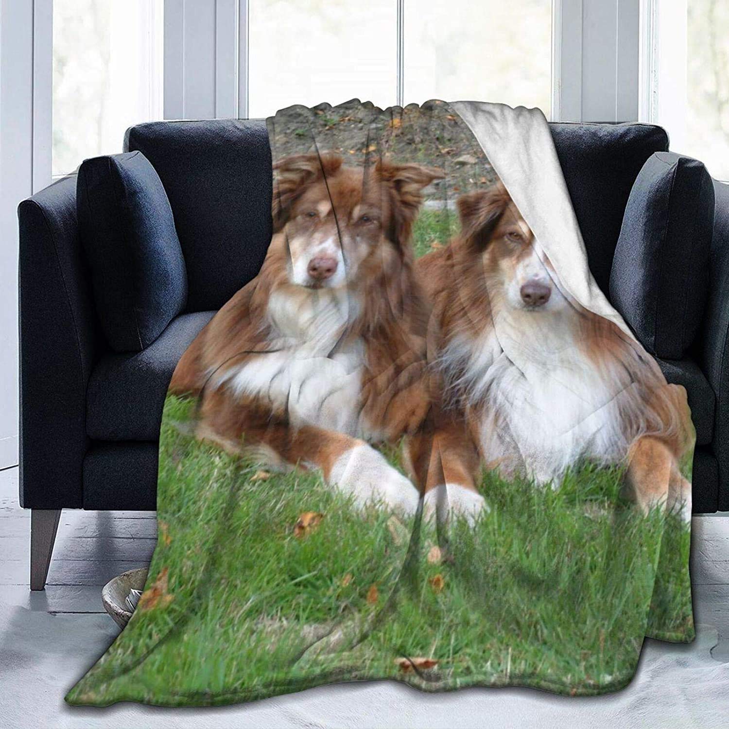 QuexomaAussie Pug Ultra-Soft Micro Fleece Blanket Throw Super Soft Cozy Bed Blanket for Bed Sofa