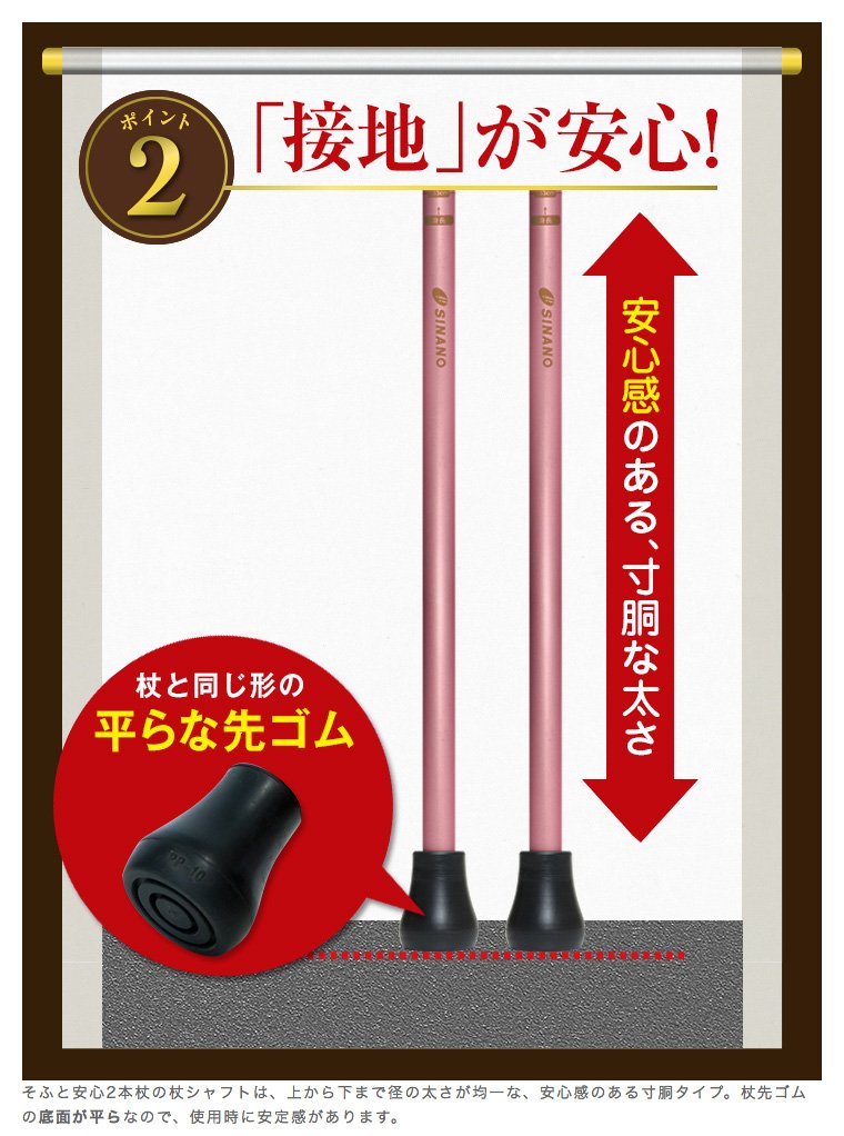 Amazon.co.jp: [ sinano Walking poles そふと安心2本杖 @9500] シナノ