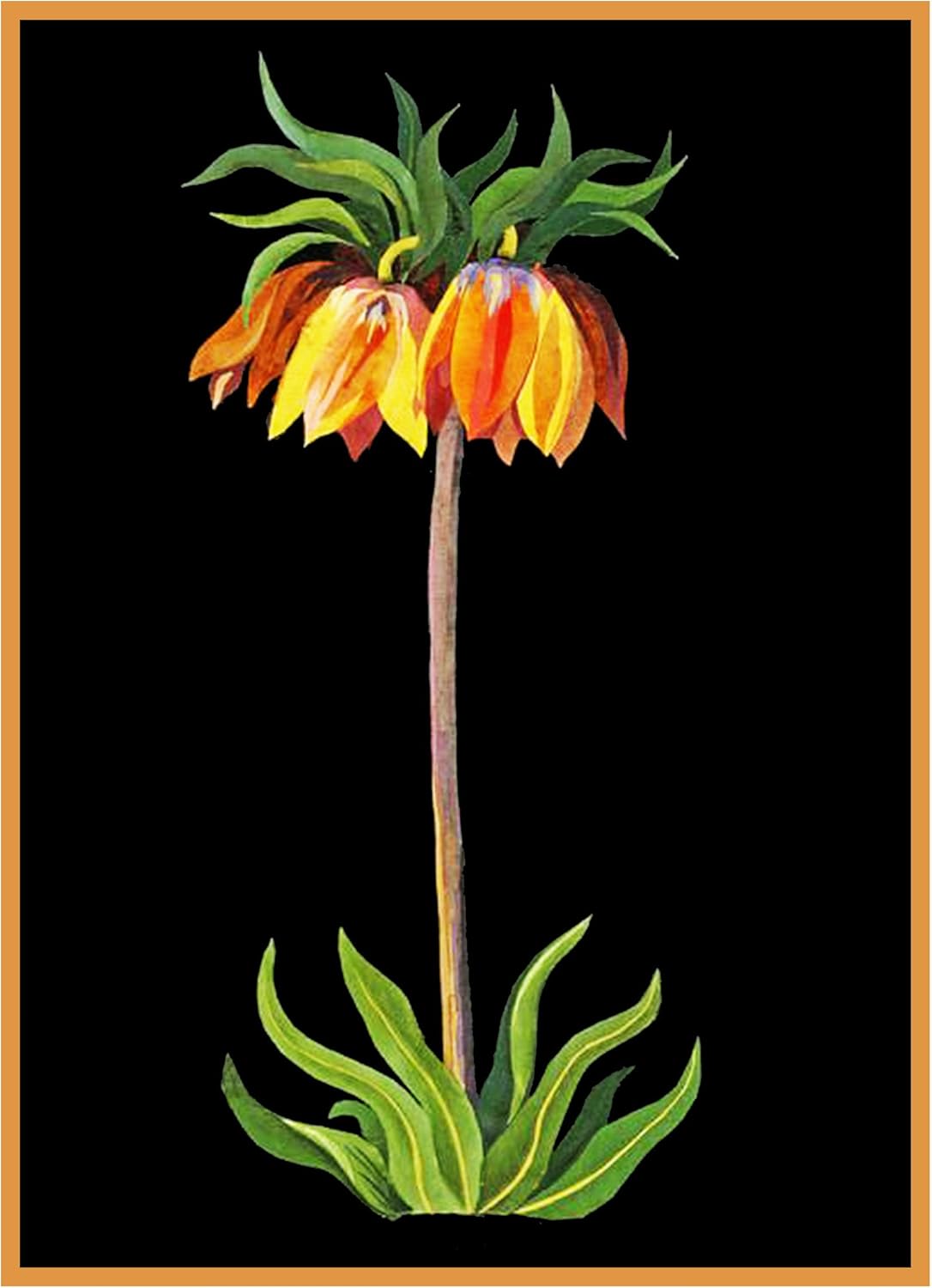 Orenco Originals Fritilaria Flower by Mary Delany Counted Cross Stitch Pattern