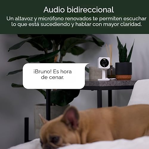 Miniatura 6 de WYZE Cam OG - Cámara de seguridad inteligente para interiores y exteriores, 1080p WIFi, con visión nocturna a color, foco integrado, detección de