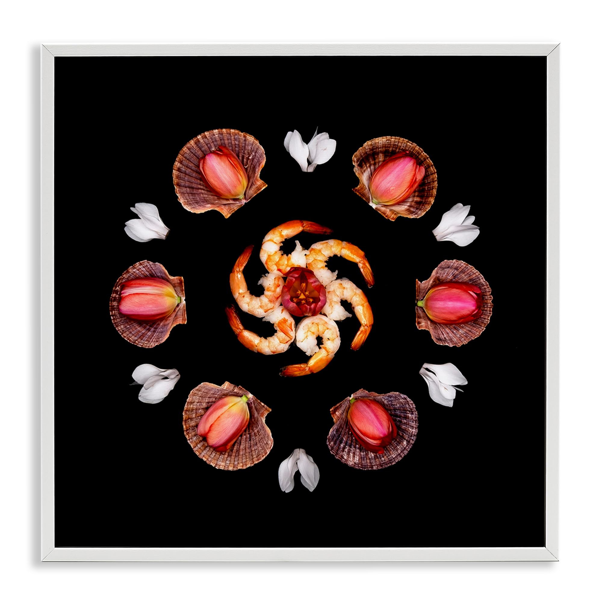 Stupell Industries Coastal White (Textured) 'Seashells & Tulips Symmetry'| Framed Giclee Art