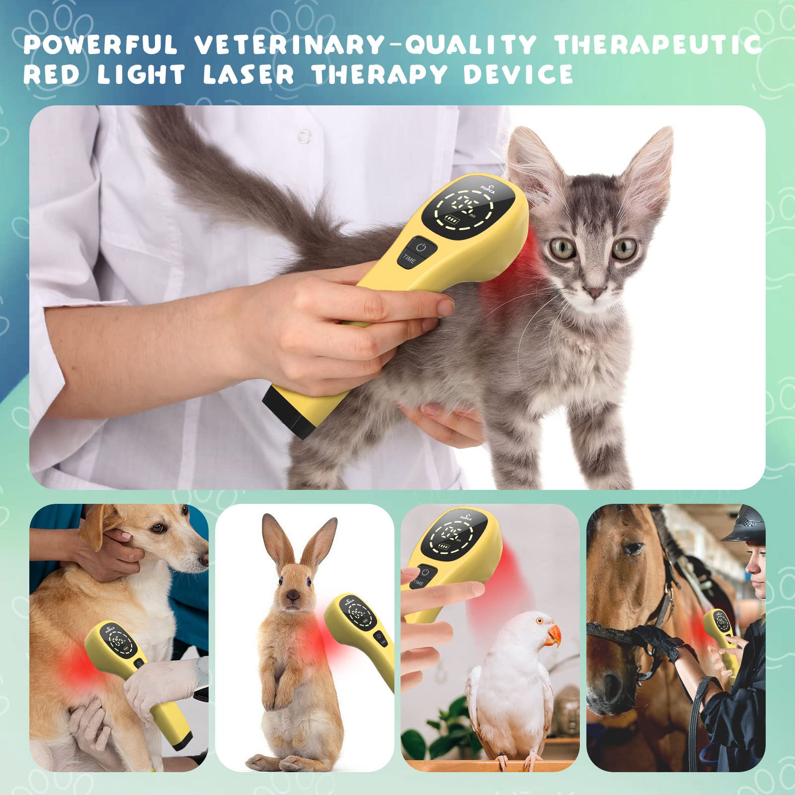 SHINE VetLight Pro Rotlichtgerät Für Haustiere - Tragbare Therapielampe Für Hunde & Katzen