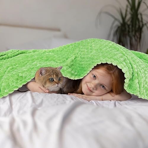 Vista 288 de Vessia Manta de franela de forro polar, 300GSM, acogedora manta a rayas verde salvia para sofá, cama y sofá, cálida y suave, acogedora manta