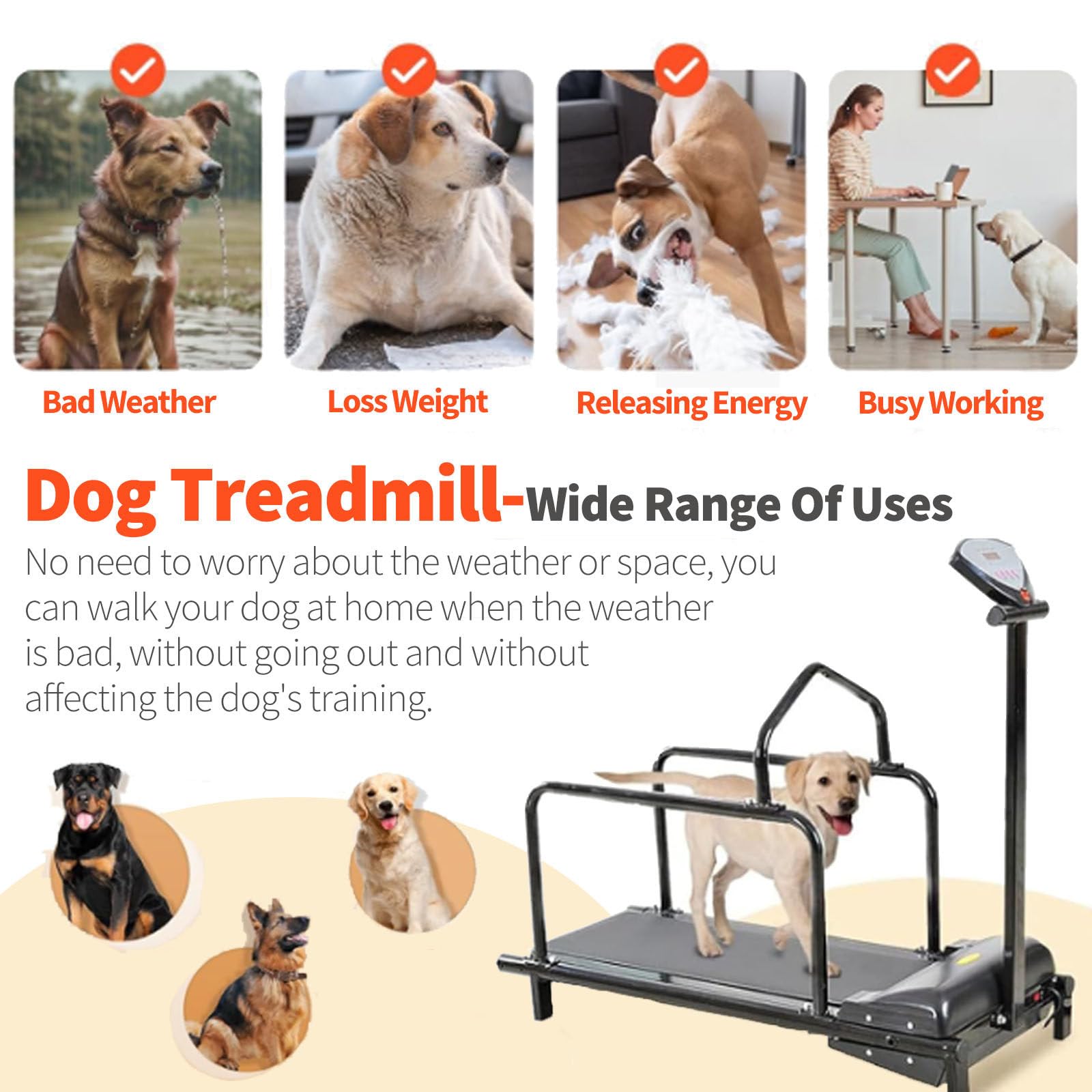 Hundelaufband für mittelgroße Hunde, Indoor-Haustierlaufband, Elektrisches Indoor-Hundelaufband mit LCD-Display, Outdoor-Hundelaufband, Gewichtskapazität 80 kg,Black