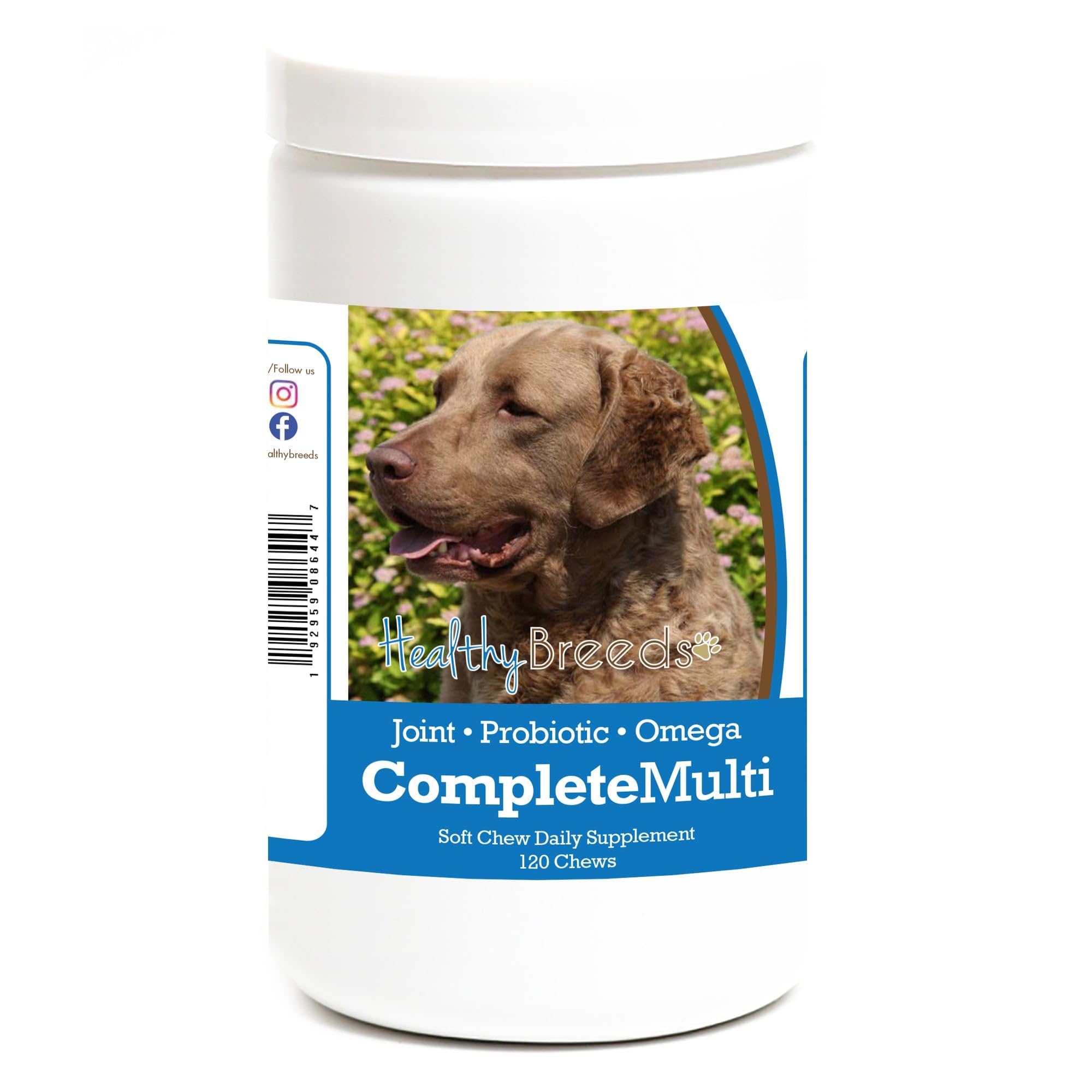 Healthy Breeds Chesapeake Bay Retriever All In One Multivitamin Soft Chew 120 Count