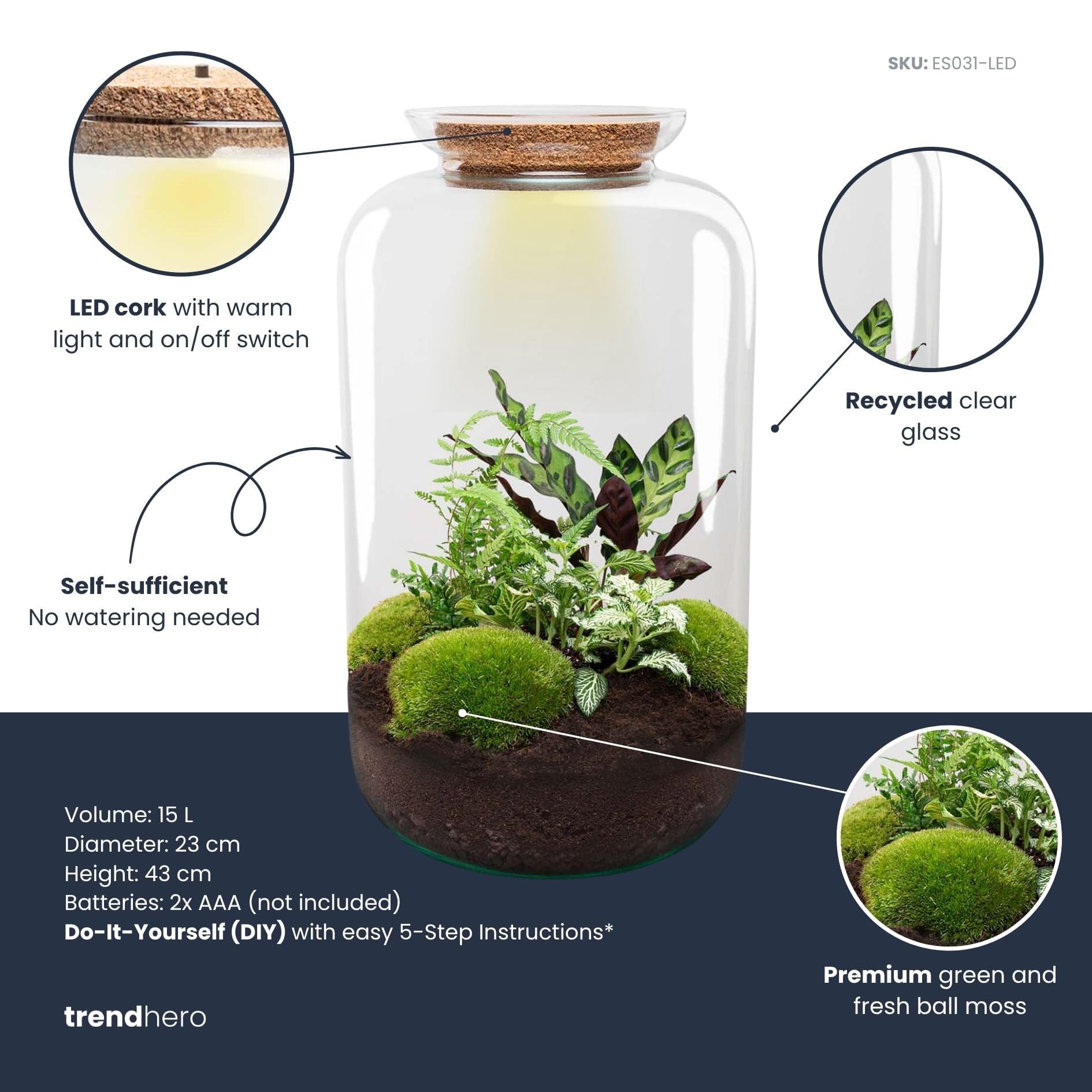 urbanjngl - Sven XL Botanisches Terrarium mit Licht – DIY Kit für Pflanzenökosystem, Ø 23 cm, Höhe 43 cm, ideal für Pflanzenliebhaber und Dekoration