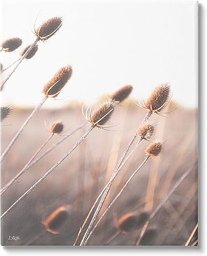 Stupell Industries Brotes de plantas tranquilas brotes de hierba de prado, diseño de Donnie Quillen, 24 x 30, beige