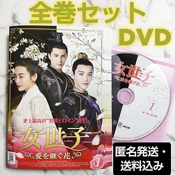 国家代表ワイフ　〜華麗なる江南奮闘記〜 DVD 全巻セット レンタル落ち 国家代表ワイフ 〜華麗なる江南奮闘記〜 DVD 全巻セット